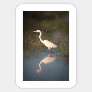 Great White Egret Sticker